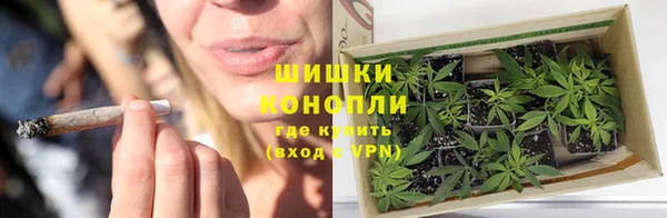 стафф Заводоуковск