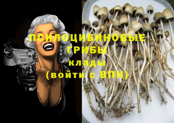 стафф Заводоуковск