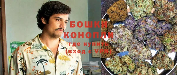 стафф Заводоуковск