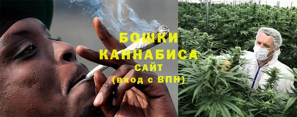 стафф Заводоуковск