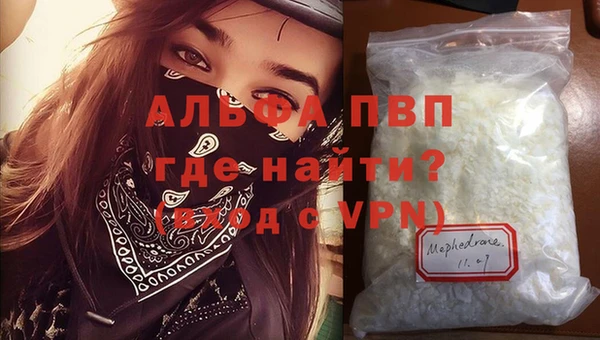 стафф Заводоуковск