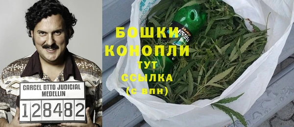 стафф Заводоуковск